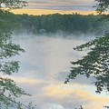 Foggy Morning 