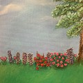 Grandmas  Garden