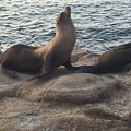 Strike a Pose 