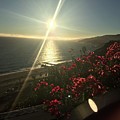 Sunset In Malibu